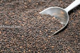 Pimenta preta de Madagascar Preço por quilo